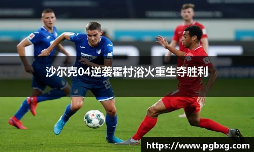 太阳成15vip