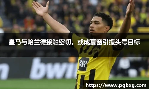 15vip太阳成