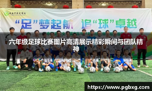 15vip太阳成