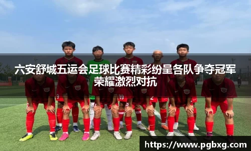 太阳成15vip