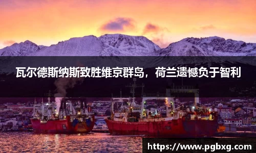 瓦尔德斯纳斯致胜维京群岛，荷兰遗憾负于智利