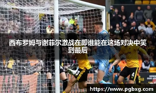 太阳成15vip