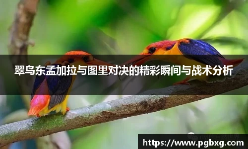 翠鸟东孟加拉与图里对决的精彩瞬间与战术分析