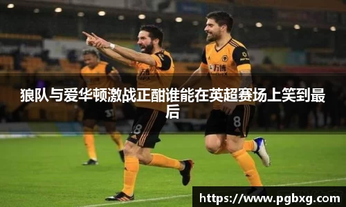 狼队与爱华顿激战正酣谁能在英超赛场上笑到最后