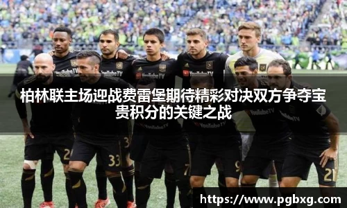 15vip太阳成