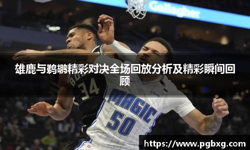 15vip太阳成集团