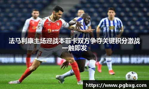法马利康主场迎战本菲卡双方争夺关键积分激战一触即发