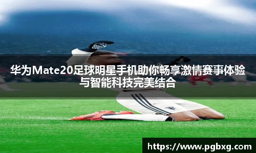 15vip太阳成集团官网