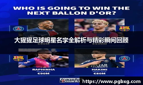 大猩猩足球明星名字全解析与精彩瞬间回顾